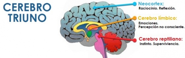 ¿Cómo podemos optimizar los tratamientos de neuroestimulación?